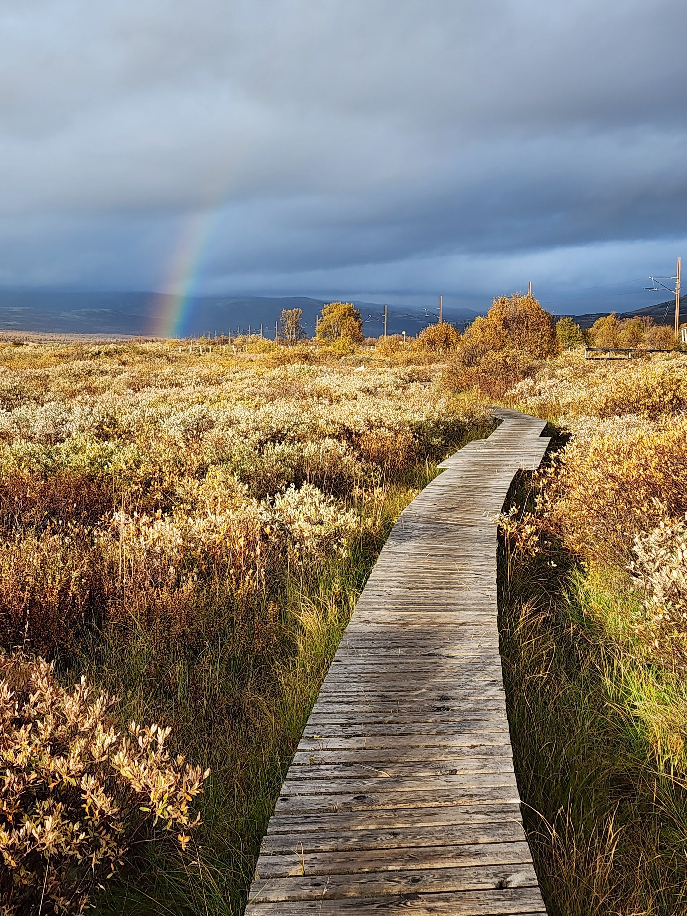 Fokstumyra parkeringsplass og inngang til parken